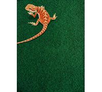 Komodo Alfombra para Reptiles, Verde, Large