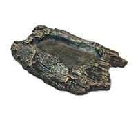 Komodo hábitat Rock Cuenco