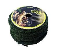 Komodo Plantas, Verde, Small