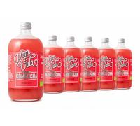 Komvida Kombucha Pack 6x750ml - Bebida Ecológica de Té fermentado, Probióticos Naturales, Sin Azúcares Añadidos - Sabor Frutos rojos