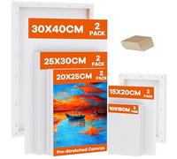 Koncci Lienzo estirado para pintar, 10 paquetes de lienzos de varios tamaños, 10 x 15, 15 x 20, 20 x 25, 25 x 30, 30 x 40 cm, 280 g/m², marcos de madera estirada para acuarela, artista y principiante