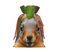 KoNsev Bolsa de regalo con cordón de animal divertido de ardilla, regalo de vacaciones, decoración para Navidad y Halloween, suministros de fiesta de 4.7 x 6.9 pulgadas