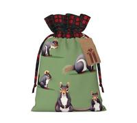 KoNsev Bolsa de regalo con cordón de color de ardilla roja, regalo de vacaciones, suministros de Navidad, decoración de Halloween, 4.7 x 6.9 pulgadas