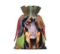 KoNsev Dachshund Weiner - Bolsa de regalo con cordón para perros y mascotas, regalo de vacaciones, decoración para Navidad y suministros de fiesta de Halloween, 8.3 x 11.8 pulgadas