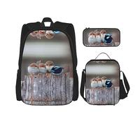 KoNsev Juego de 3 bolsas de libros impresas para escuela primaria de secundaria, bolsa escolar con bolsa de almuerzo, estuche para lápices, cartón de gato, Cuatro pájaros, Talla única