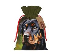 KoNsev Rottweiler - Bolsa de regalo con cordón con patrón de cordón, decoración para Navidad y Halloween, suministros de fiesta de 4.7 x 6.9 pulgadas