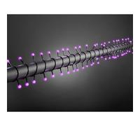 Konstsmide 3691-457 - Llevado Micro lichterkette Globo se eleva / 80 púrpura Transformador de diodo / 24v Fuera por Cable/Negro