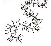 Konstsmide 3861-800 - Guirnalda de luces led (8 funciones, controlador y función de memoria, 576 diodos de color ámbar, transformador exterior de 36 V, cable negro)