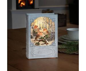 Konstsmide Christmas Decoración de mesa LED farol de agua Libro Pájaros
