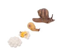 KONTONTY 4 Piezas Adorno del Ciclo De Crecimiento De Los Caracoles Pequeñas Figuritas De Caracol Figuras del Ciclo De Vida Caracol De Simulación Caracoles Juguetes El Plastico