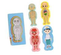 KONTONTY Rompecabezas de la Estructura del Cuerpo Humano Juguete del Cerebro de los Rompecabezas de anatomía para pequeños Montessori Juguete acertijos cerebrales Madera