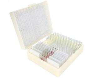 Konus diapositivas preparadas: Enseñanza de la Biología 2 (10 uds.)