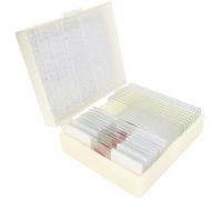 Konus láminas preparadas: reptiles, pájaros y serpientes (10 piezas)