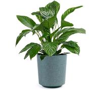 KONZEPT Macetero con aspecto textil, diámetro de 19 cm, maceta grande para plantas de interior, de plástico, color verde