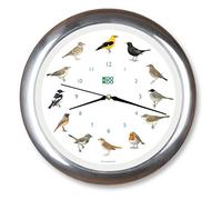 KOOKOO Singvögel Quartz alumino, Reloj de Pared con 12 pájaros cantores, nativos, grabaciones Originales de la Naturaleza