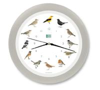 KOOKOO Singvögel Quartz Seda-Gris, Reloj de Pared con 12 pájaros cantores, nativos, grabaciones Originales de la Naturaleza