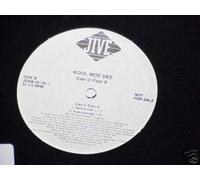 Kool Moe Dee - Can U Feel It [Vinilo]
