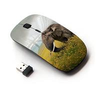 KOOLmouse [ Ratón óptico 2.4G inalámbrico ] [ Happy Elephant ]