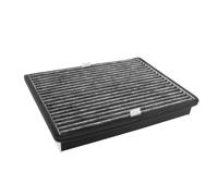Koolstoffilter geschikt voor Miele Active AirClean DKF 36-P