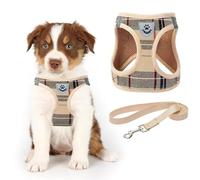 KOOLTAIL Arnés y correa para perro pequeño, arnés y correa de malla suave para perros pequeños, chaleco reflectante acolchado ajustable y cómodo para cachorros y razas pequeñas, color beige, a cuadros