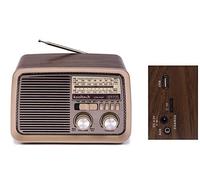 Kooltech Radio Am/FM/SW Portable Run/30 Plástico, Marrón, Talla Única, Sin Batería