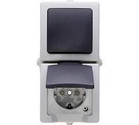 Kopp 138556008 - Caja de enchufe, color: gris