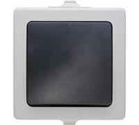 Kopp 565656001 - Interruptor estanco, color: gris