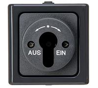 Kopp Blue Electric 561715001 - Carcasa para Interruptor de Llave, Color Antracita