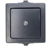 Kopp Nautic 566315004 - Pulsador iluminable para ambientes húmedos, 250 V (10 A), IP 44, color antracita