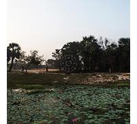 Korwar, Sarathy - Kalak (Dark Green) [Import]