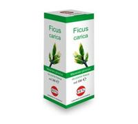 Kos Gotas de Macerado Glicérico de Ficus Carica 100 ml