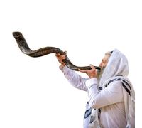 Kosher Kudu Shofar Cuerno de Israel 39-41 pulgadas tradicional medio pulido Kudu Shofar voz sagrada fácil de soplar instrumento musical judío antiguo