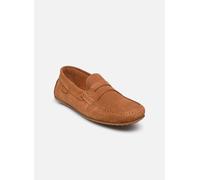 Kost BALTIMORE V 42 Marrón