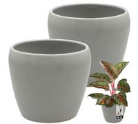 KOTARBAU® 2 macetas redondas grises para interior, diámetro 12 cm, altura: 12 cm, de cerámica esmaltada, para interior, para orquídeas, para interior