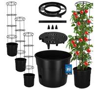 KOTARBAU® Ayuda para cultivo de tomates - Maceta de cultivo - ⌀ 35 cm H: 128 cm - Maceta de plantación, Negro , Set de 3