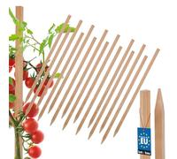 KOTARBAU® - Juego de 15 varillas para tomates, varillas de 40 cm, poste de madera con punta para cercas, poste de madera para plantas, soporte de madera para plantas, varillas de madera para la