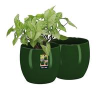 KOTARBAU® Juego de 2 macetas de cerámica Redondas de 15 cm de Altura, 16 cm, Color Verde, de cerámica, para Plantas de Interior