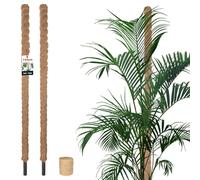 KOTARBAU® Juego de 2 varillas de musgo para Monstera de coco natural, 3,2 x 150 cm, soporte para plantas Monstera, varilla de coco, vara para plantas, vara de musgo y cuerda