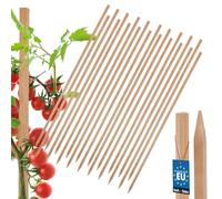 KOTARBAU® Juego de 20 varillas de tomate para plantas, 100 cm, postes de madera, estacas de madera puntiagudas, soporte para vallas, postes de madera para estabilizar plantas