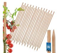 KOTARBAU® Juego de 25 varillas de tomate para plantas, 120 cm, postes de madera, estacas de madera puntiagudas, soporte para vallas, soporte para plantas de madera para estabilizar plantas