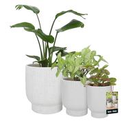 KOTARBAU® Juego de 3 macetas de cerámica de 18 cm / 23 cm / 27 cm, color blanco, terrazo de flores, macetas de cerámica, para plantas de interior, color blanco