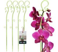 KOTARBAU® Juego de 4 soportes para plantas de PVC verde, 39 cm, soporte para flores, soporte para plantas de interior, soporte para flores, jardín, orquídeas, barra de apoyo para plantas, soporte
