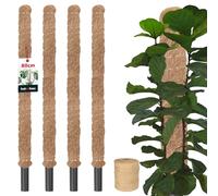 KOTARBAU Juego de 4 varillas de musgo para Monstera, coco natural, 3,2 x 80 cm, soporte para plantas Monstera, varilla de coco, vara para plantas Monstera, vara de musgo, vara de musgo + cuerda