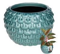 KOTARBAU® Maceta de cerámica artística grande con patrón de escamas de pescado hecha a mano ⌀ 17 cm de altura 13 cm Maceta decorativa de cerámica Maceta para orquídeas azul y turquesa