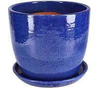 KOTARBAU® Maceta de cerámica esmaltada Ø 31cm, Maceta para Exteriores, Maceta de jardín terraza, Maceta Azul Cobalto, Maceta con Plato, Maceta Redonda, Acabado Brillante, Macetero Decorativo Ceramica