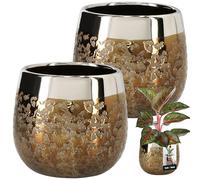 KOTARBAU® Maceta de cerámica redonda, efecto espejo, 10 cm, altura 11 cm, 1 unidad, dorado, ⌀ 14 cm, juego de 2