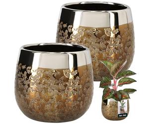 KOTARBAU® Maceta de cerámica redonda, efecto espejo, 10 cm, altura 11 cm, 1 unidad, dorado, ⌀ 14 cm, juego de 2