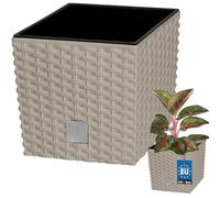 KOTARBAU® Macetero con Maceta Interior, 200 mm, Ratan sintético, Beige - Mocca, Maceta Rato con patrón de Trenzado Que imita el Mimbre, Maceta Interior separada, extraíble, Cesta