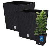 KOTARBAU® Macetero Cuadrado, Maceta Plastico con Inserto 32x32 cm | 2 uds. Maceta Cuadrada, Macetas Decorativas Interior, Jardineras Exterior, Efecto Ratán, Antracita
