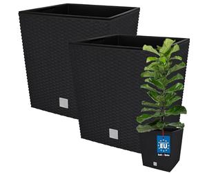 KOTARBAU® Macetero Cuadrado, Maceta Plastico con Inserto 32x32 cm | 2 uds. Maceta Cuadrada, Macetas Decorativas Interior, Jardineras Exterior, Efecto Ratán, Antracita